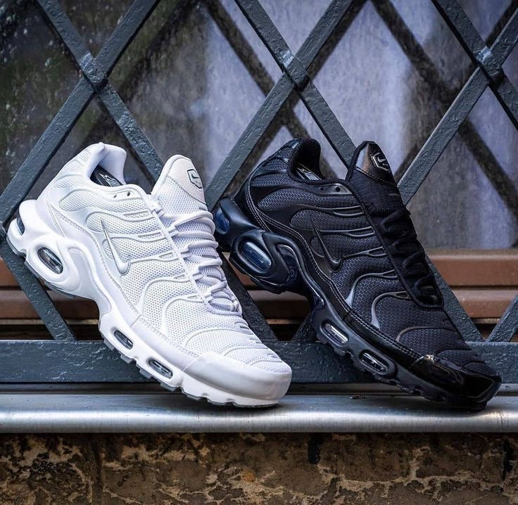 Sneackers TN