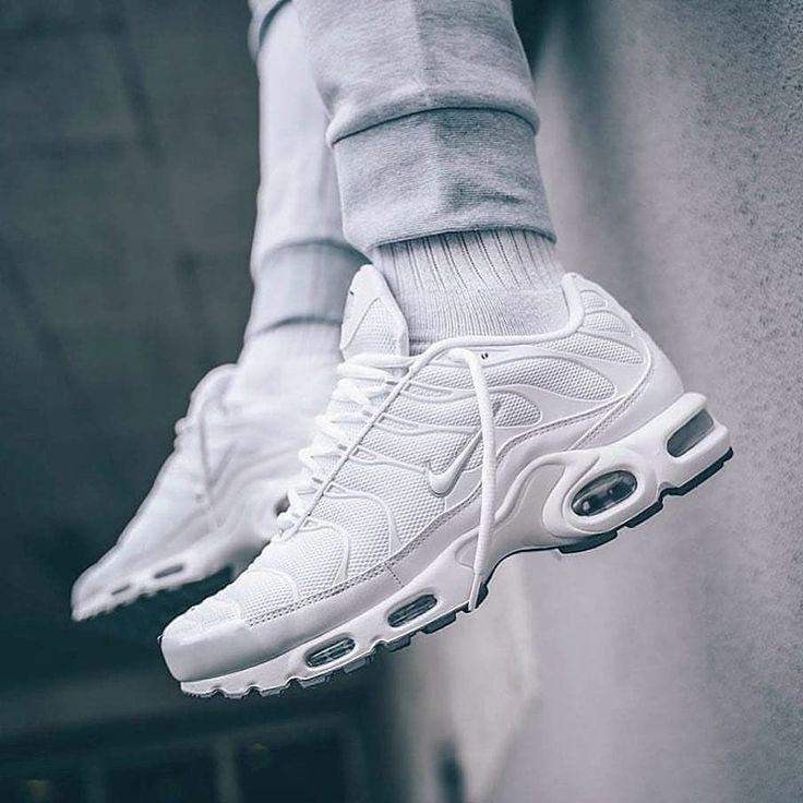 Sneackers TN
